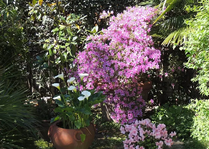 호텔 Parma E Oriente Wellness & 몬테카티니테르메