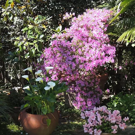 酒店 Parma E Oriente Wellness & 蒙特卡蒂尼泰尔梅